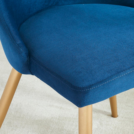 Carmilla Side Chair Blue (Set of 2)