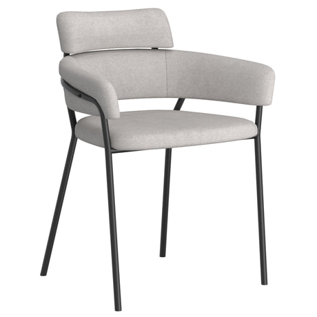 Axel Contemporary Dining Chair (set of 2)