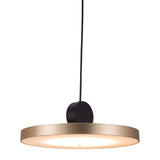 Gold Shaded Metal LED Dimmable Ceiling Light