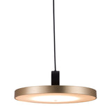 Gold Shaded Metal LED Dimmable Ceiling Light